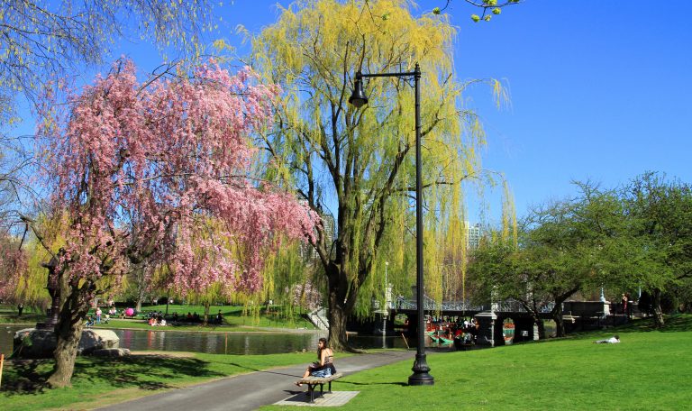 Boston_Public_Garden